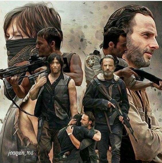 TWD kolekce